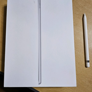 iPad 9세대 Wi-Fi 64GB + 애플펜슬1세대