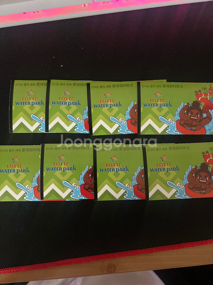 롯데워터파크 상품권 (구명조끼포함)--0