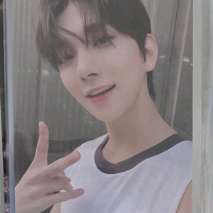 헹가래 세븐틴 조슈아 포카 2.5