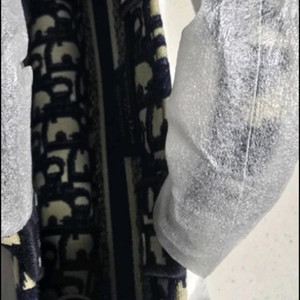 디올 오블리크 북 토트백