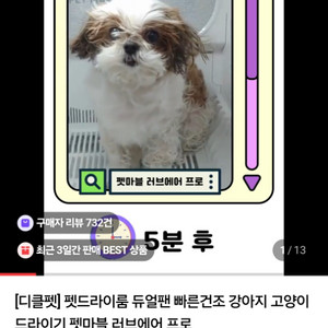 디클펫 러브에어 프로 강아지 고양이 드라이룸