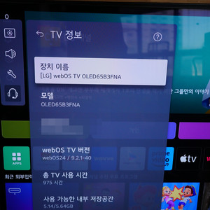 엘지 65인치 올레드 티비 TV OLED65B3FNA