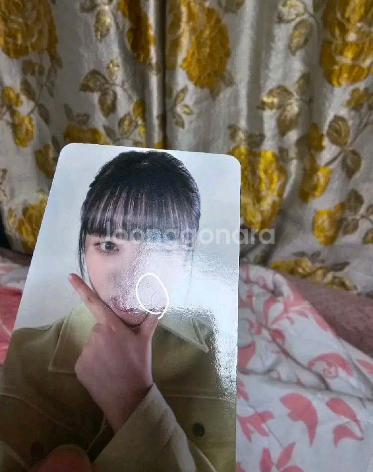 하자O)아이브 리즈 옥수수수염차 포카 일괄양도합니다--4