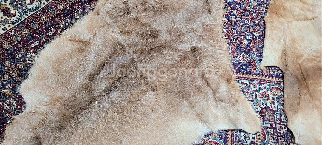 (1개당7만)(호주산)캥거루 송치 카페트 -AU144--7