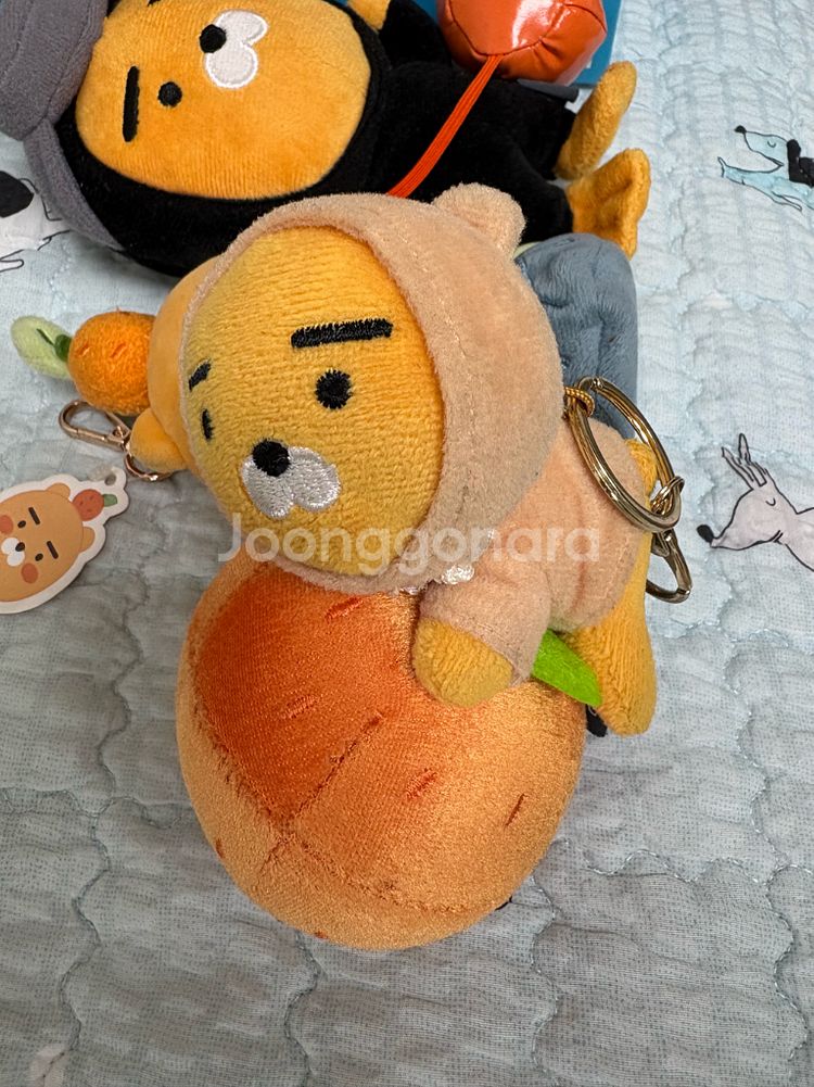 카카오프렌즈 라이언 제주 키링--1