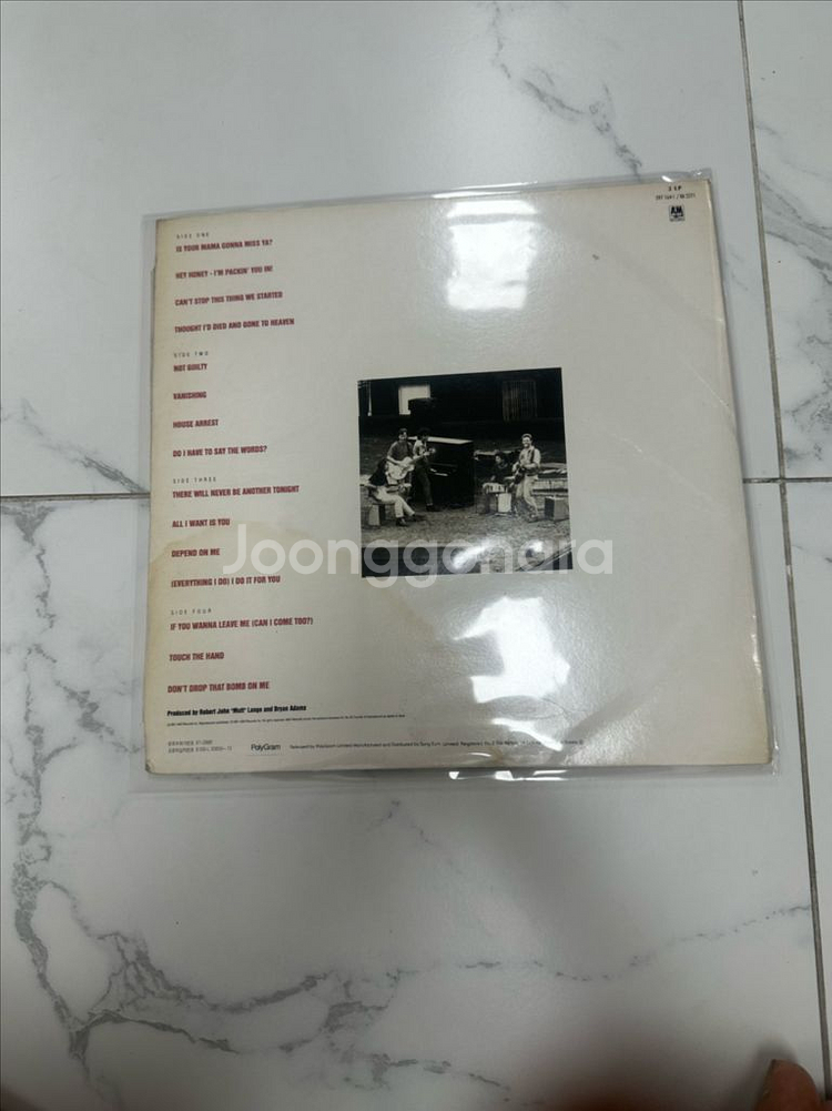 브라이언 아담스 더블 앨범 민트급 팝니다--1