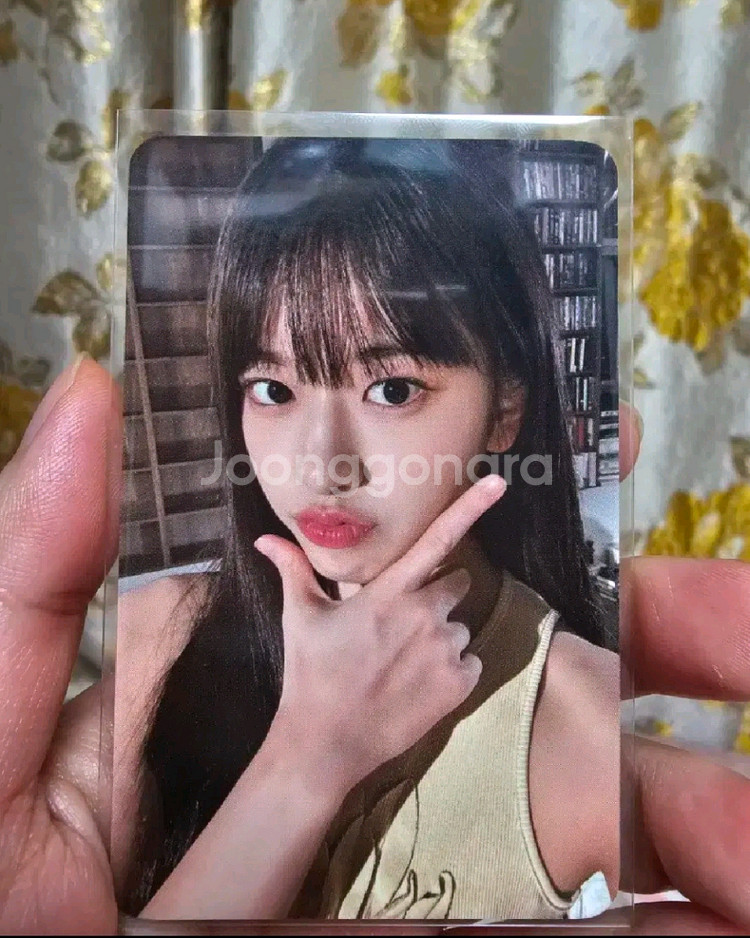 아이브 유진 옥수수수염차 포카 일괄 양도합니다--1