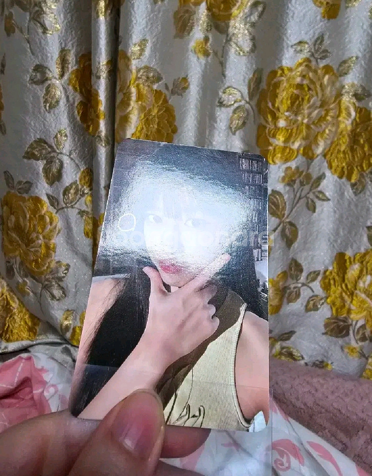 아이브 유진 옥수수수염차 포카 일괄 양도합니다--3