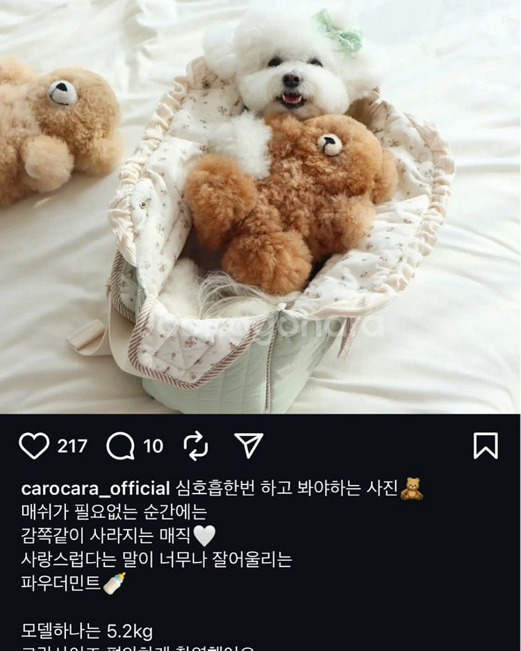까로까라 까라백2 그랑--7