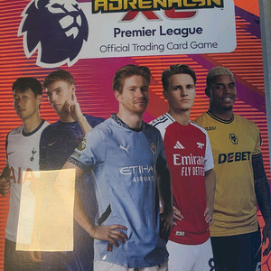 2024 EPL 파니니 카드 + 앨범 판매합니다.