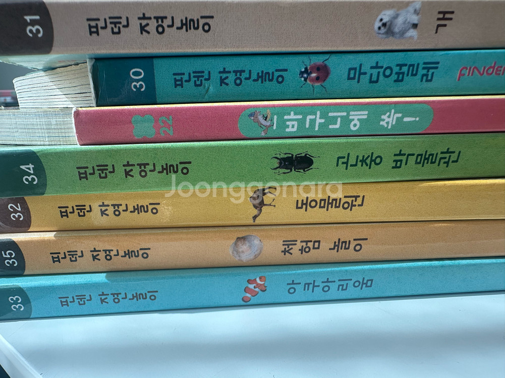 핀덴카 핀덴자동차--8