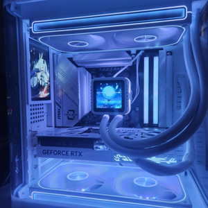 7800X3d 5070 본체
