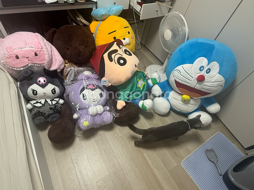 인형판매합니다.--1