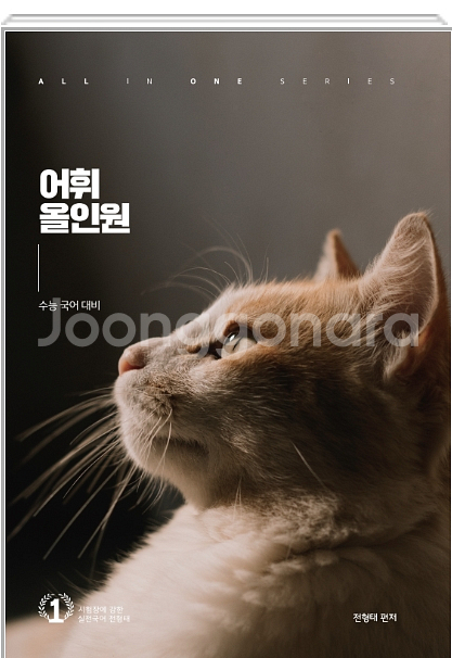 메가스터디 전형태 수능 국어 어휘올인원,시다끝다 교재--0