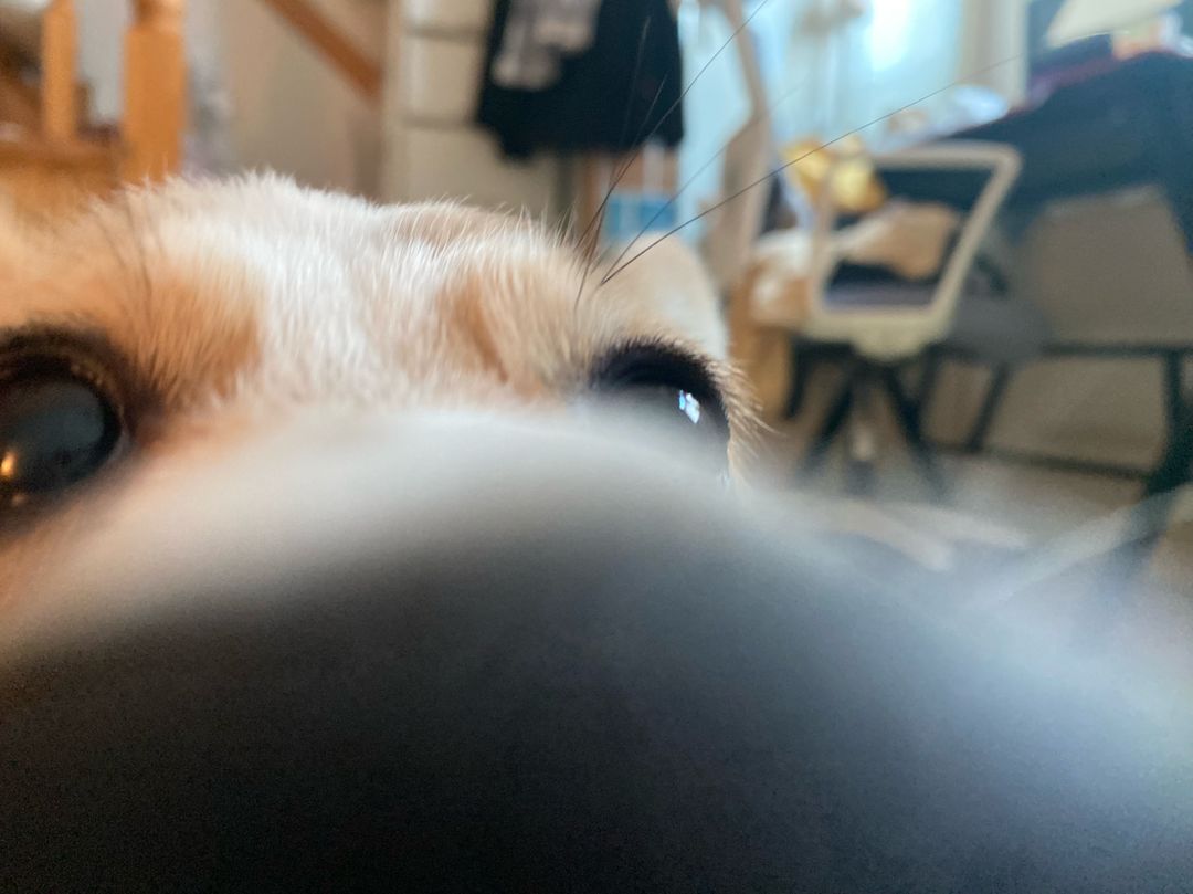profile-image