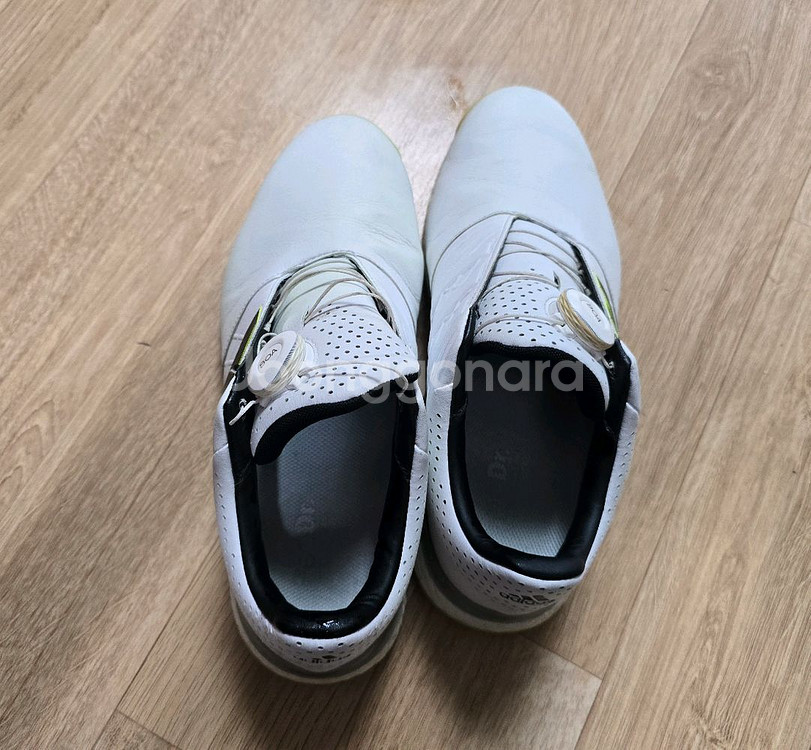 (택포)아디다스 골프화 남 255--2