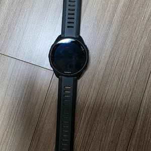 가민 포러너165