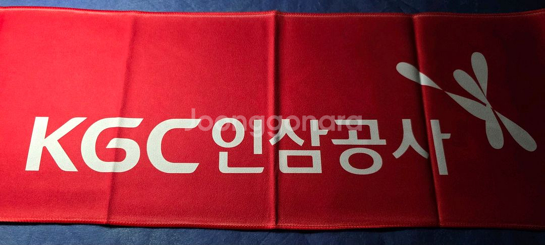 인삼공사 배구단 슬로건 | 정관장--0