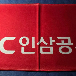 인삼공사 배구단 슬로건 | 정관장
