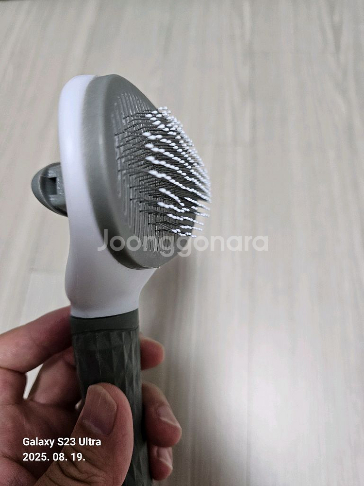 강아지 빗 세트 새상품--1
