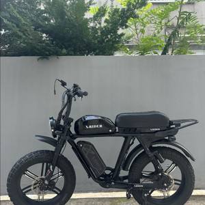 엑스라이더x200pro(25년식)팝니다