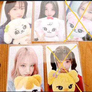 아이브 미니브 스쿨 팝업 플러피 플러시 인형 특전 포카