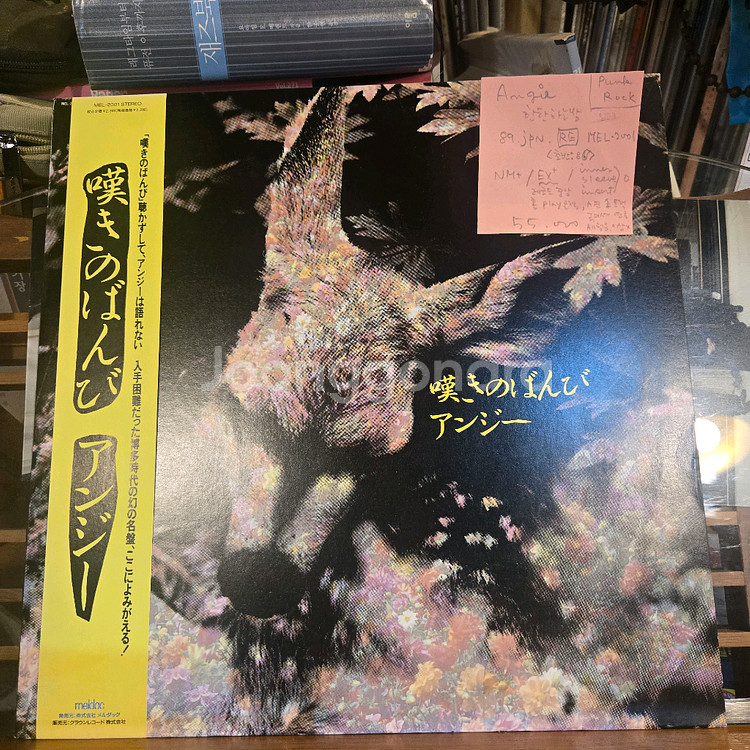 ANGIE.한탄하는밤.89.jpn.RE.NM+/EX+.--0
