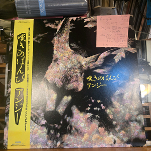 ANGIE.한탄하는밤.89.jpn.RE.NM+/EX+.