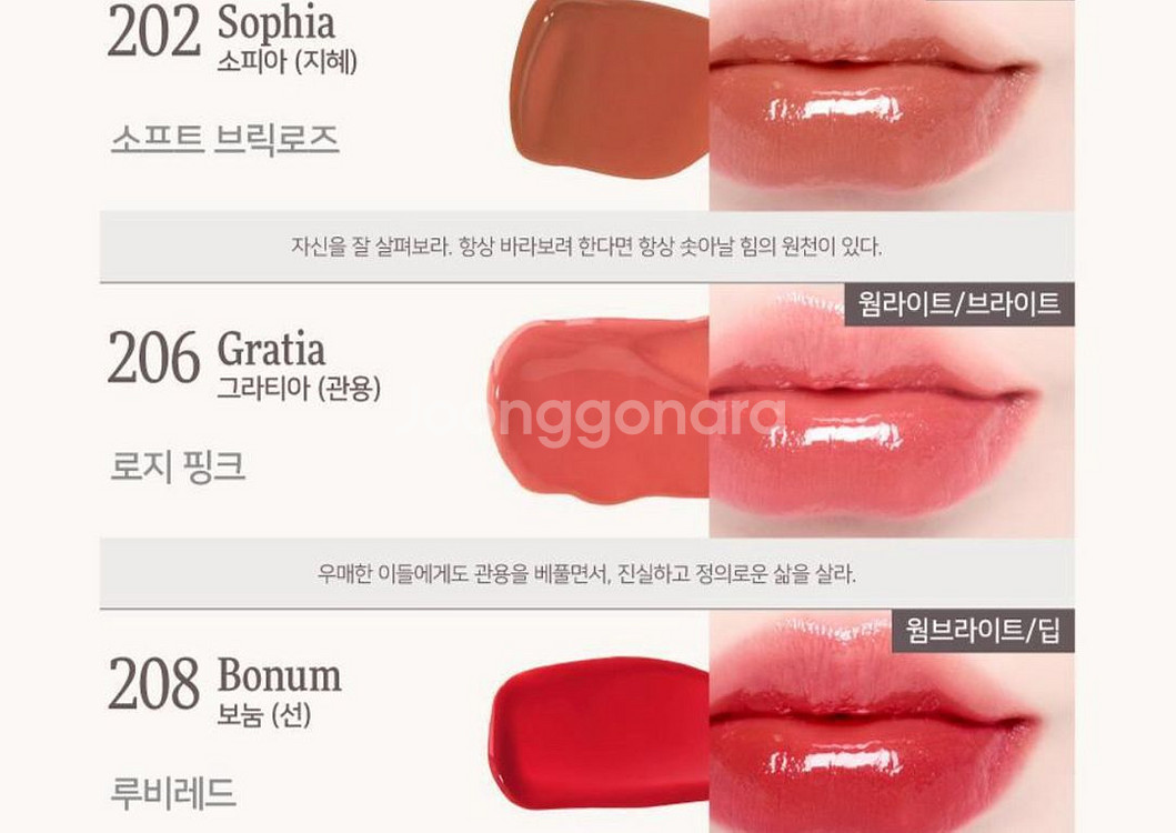 딘토 틴트 206그라티아, 207피덴티아--2