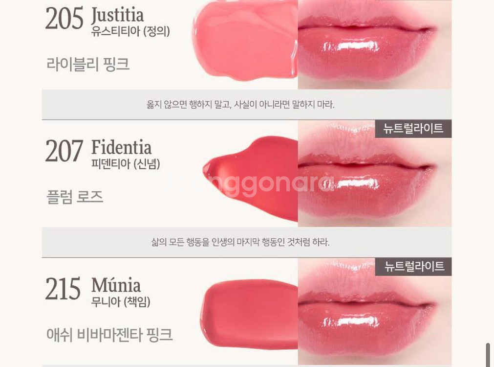 딘토 틴트 206그라티아, 207피덴티아--1