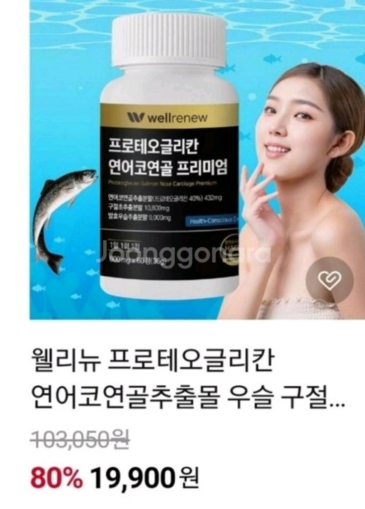 프로테오글리칸--1