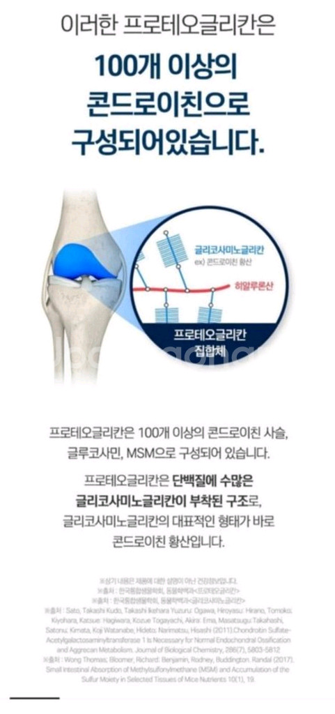 프로테오글리칸--4