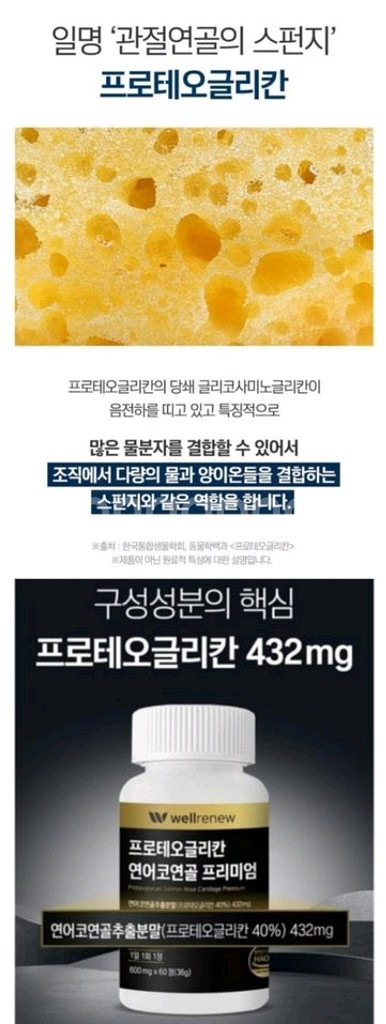 프로테오글리칸--5