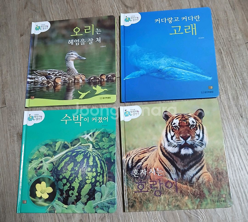 웅진 땅친구 물친구--3