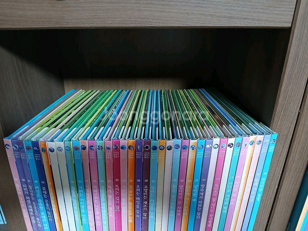 웅진 땅친구 물친구--1