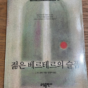 젊은 베르테르의 슬픔