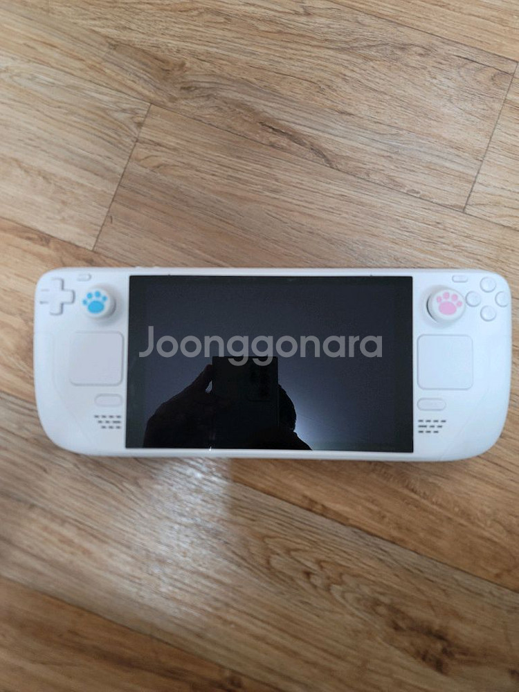 스팀덱 커스텀 1테라 lcd 와이프의 허락을 구하자!--0