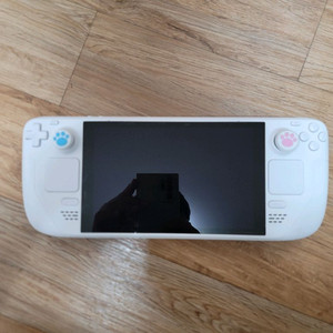 스팀덱 커스텀 1테라 lcd 와이프의 허락을 구하자!