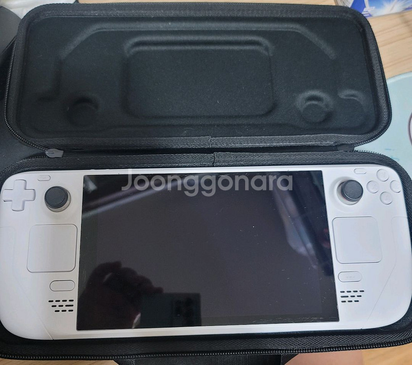 스팀덱 커스텀 1테라 lcd 와이프의 허락을 구하자!--1