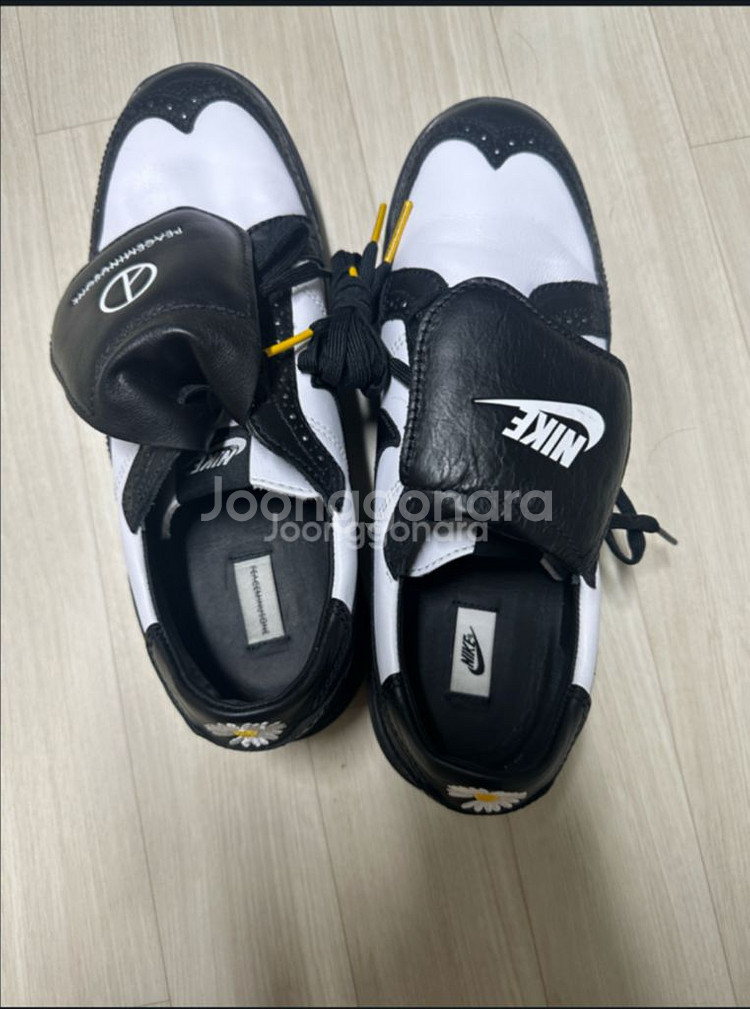 피스마이너스원 퀸도--1