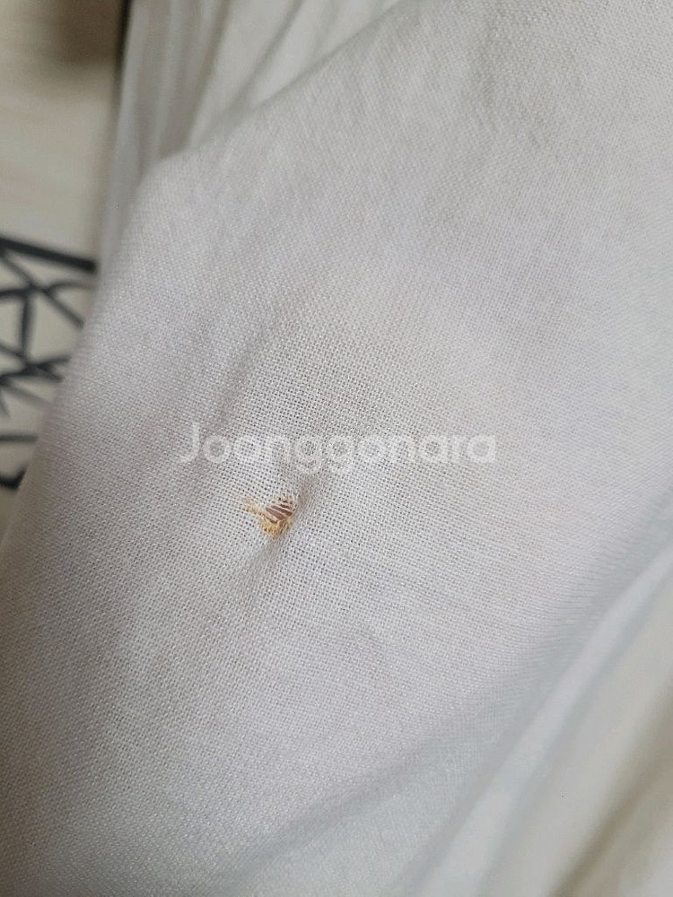아이보리 롱 원피스--1