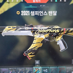 2021챔밴 팝니다