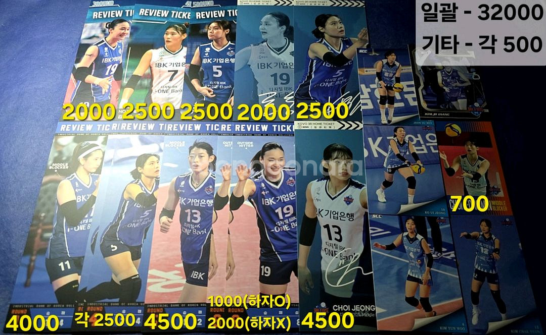 [사진 다양] 여자배구 코보카드 집관티켓 리뷰티켓--0