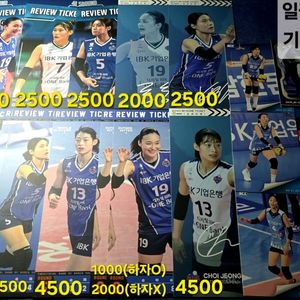 [사진 다양] 여자배구 코보카드 집관티켓 리뷰티켓