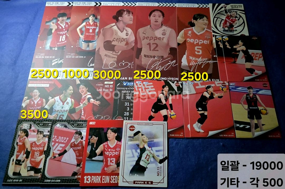 [사진 다양] 여자배구 코보카드 집관티켓 리뷰티켓--3