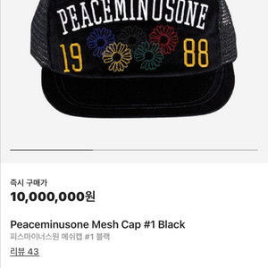 GD 지드래곤 피마원 모자