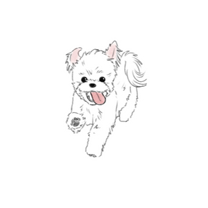 반려동물 그림 1000원