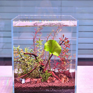 (동대문구 장안동) 수초 어항 20큐브 어항
