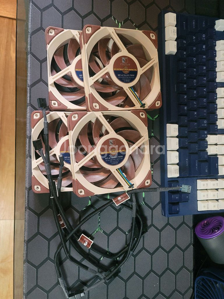 NOCTUA NF-A12x25 PWM 녹투아--0
