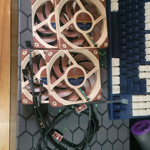 NOCTUA NF-A12x25 PWM 녹투아